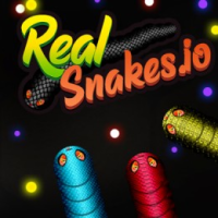 Real Snakesio